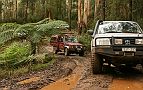 10-Rob & Caterpillar drive the muddy tracks
